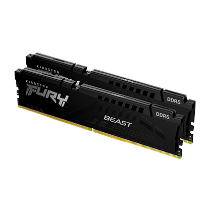 Kingston FURY Beast